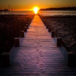 novou-cestou-ke-světlu