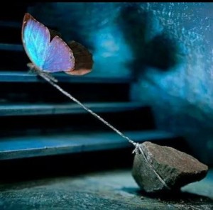 10425373_651312764950657_6371792250058282824_n