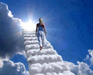 563092_555284777829815_492111345_n