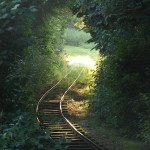 10329185_684138084966603_4602694053794805944_n