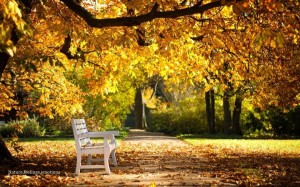 10402413_611126178994900_8500109797433867926_n