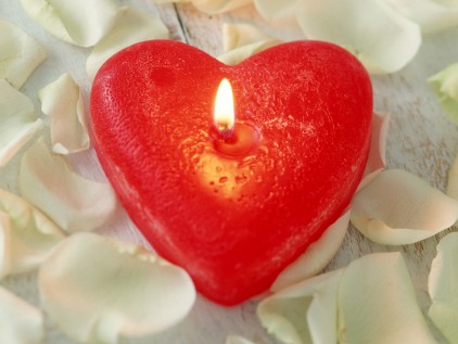 free-love-heart-shaped-flower-desktop-wallpaper_422_81581
